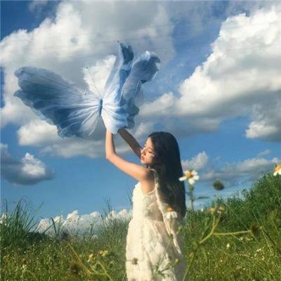祸水美人大侦探